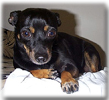 Athena