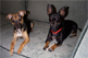 Doc & Athena June 2000
