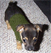 Doc Holiday in a half-sock sweater
