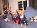 The Gang, March 32003