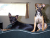 Sweet Athena & Dangerous Doc Holliday: May 2000