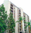 Beech Tower