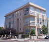 Island Lofts