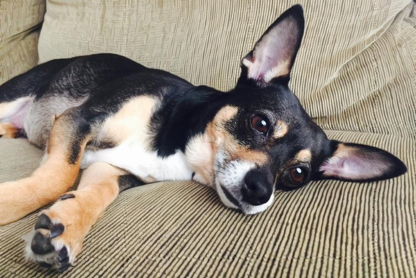 Oscar