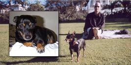 In loving memory of Athena 1997-2013