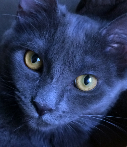 Kira