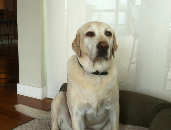 Murphy