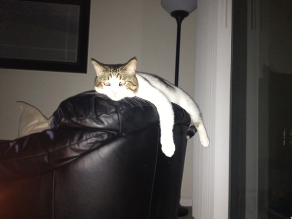 Otis