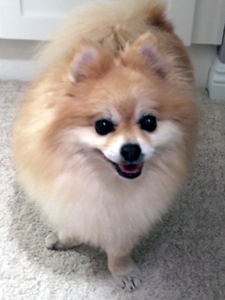Roux