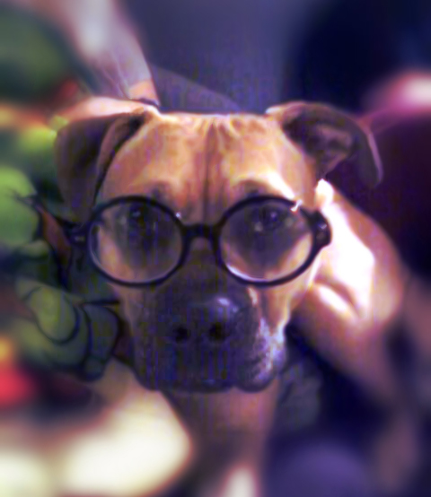 Yoda